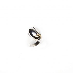 Bronze rebirth beetle ring with silver head