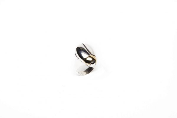 Bronze rebirth beetle ring with silver head