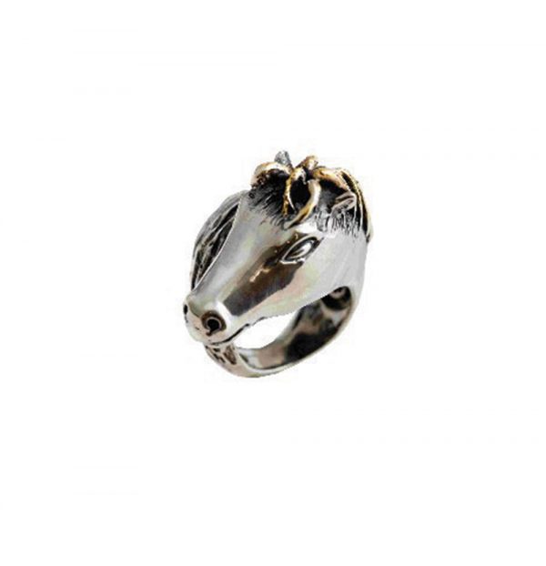 Horse ring